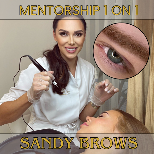 Mentorship 1 on 1 with Emilija Petrulytė